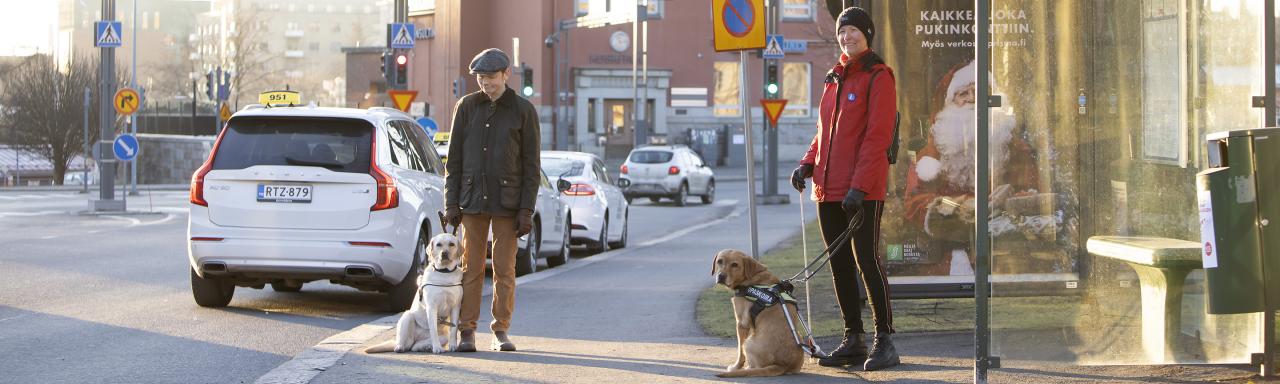 kaksi henkilö bussipysäkillä, heillä molemmilla on opaskoirat