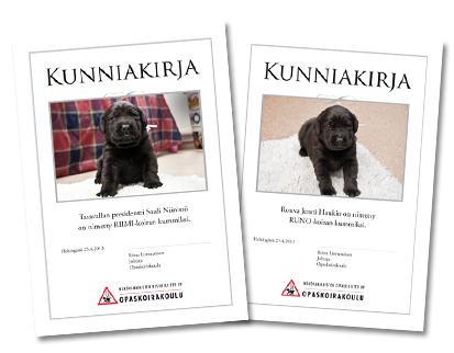 Kunniakirjat koirakummeille.
