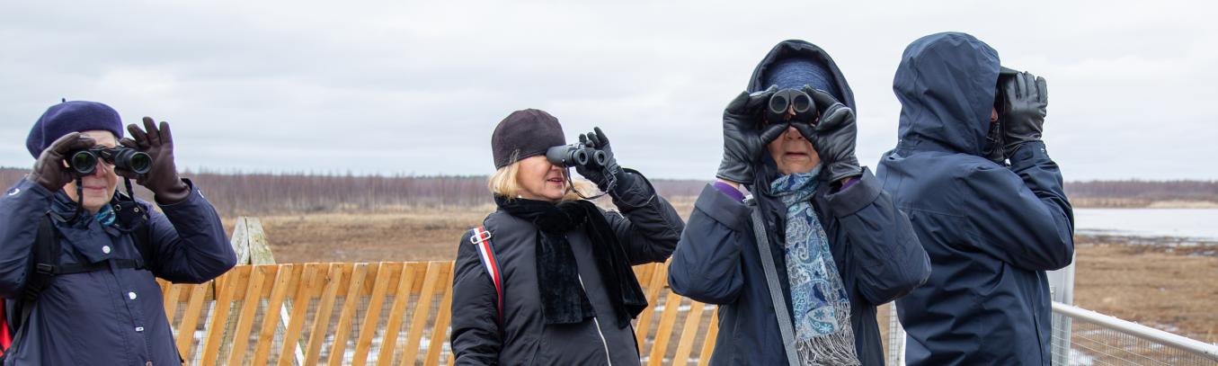 henkilöitä tarkkailemassa kiikarilla ympärilleen